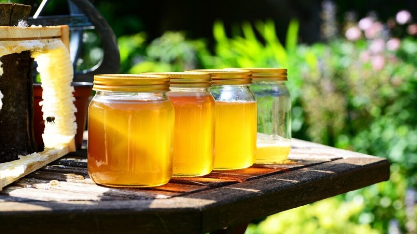Potvrđena kvaliteta meda pčelara s područja Grada Lepoglave