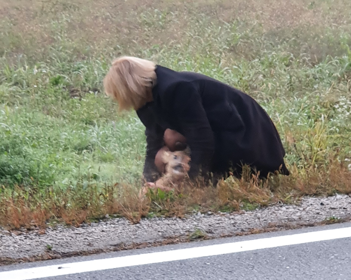 Srna na cesti izazvala pravi cirkus