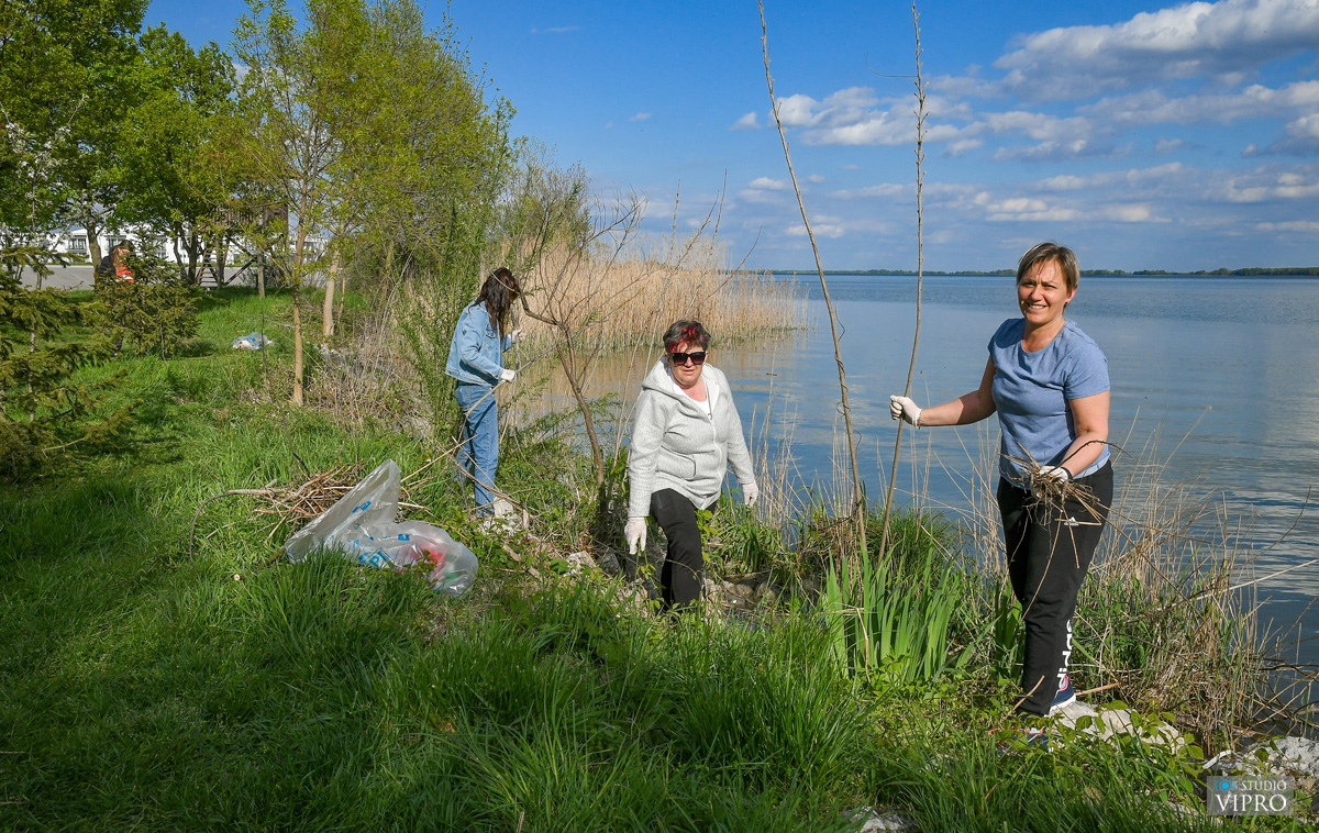 Očišćena i uređena Vrbica, dom Nautičkog kluba Labud