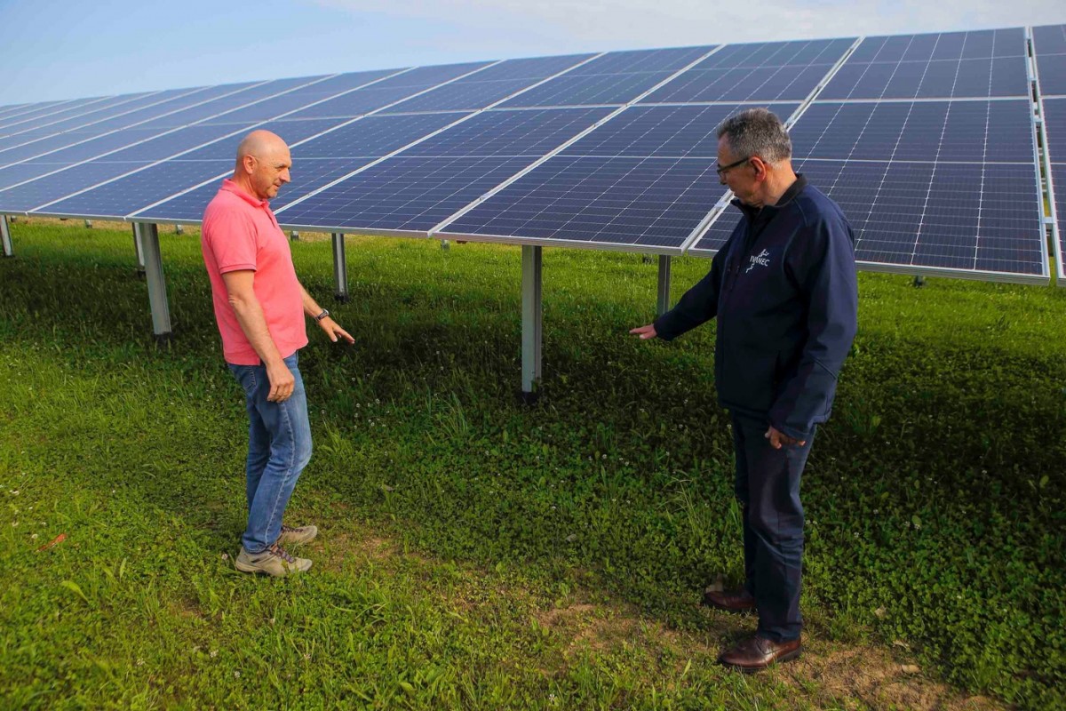 U Ivancu se gradi prva agrosolarna elektrana u Hrvatskoj!