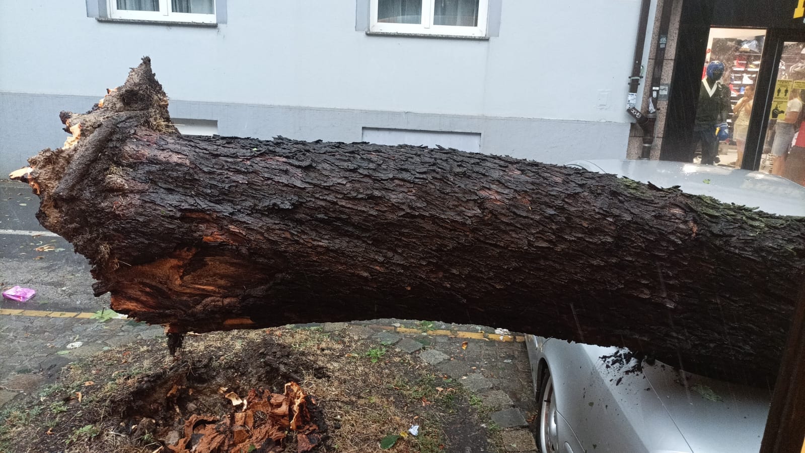 U šumi poginuo 65 – godišnjak. Prerezao je deblo…