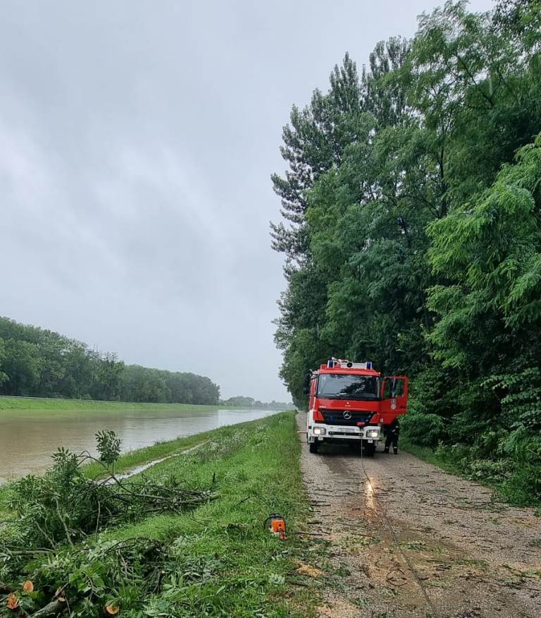 VAŽNA OBAVIJEST: Zabranjen je pristup Dravskoj šumi zbog opasnosti…