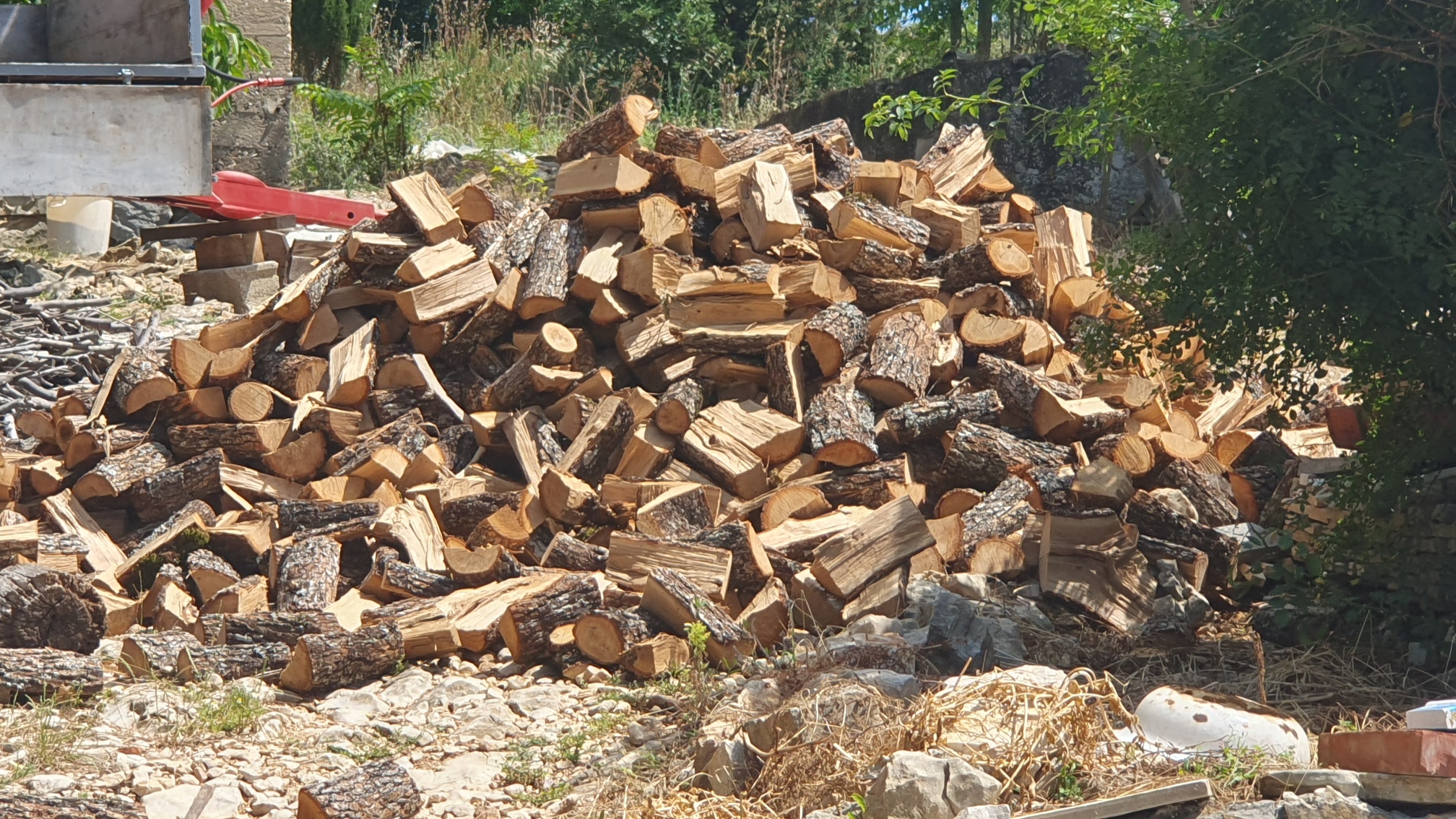 Godinu i šest mjeseci zatvora za 2 metra drva