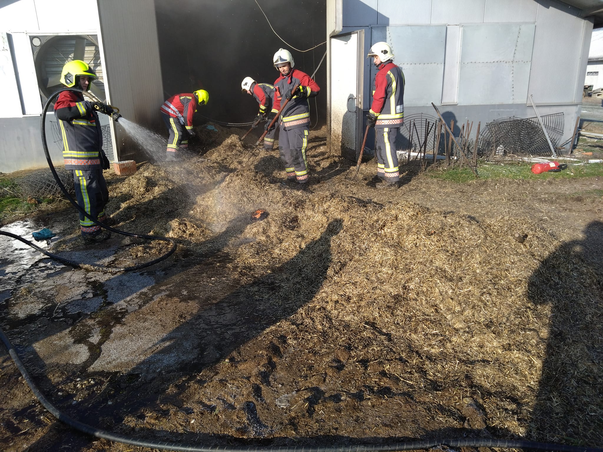 U Hrženici planuo peradarnik