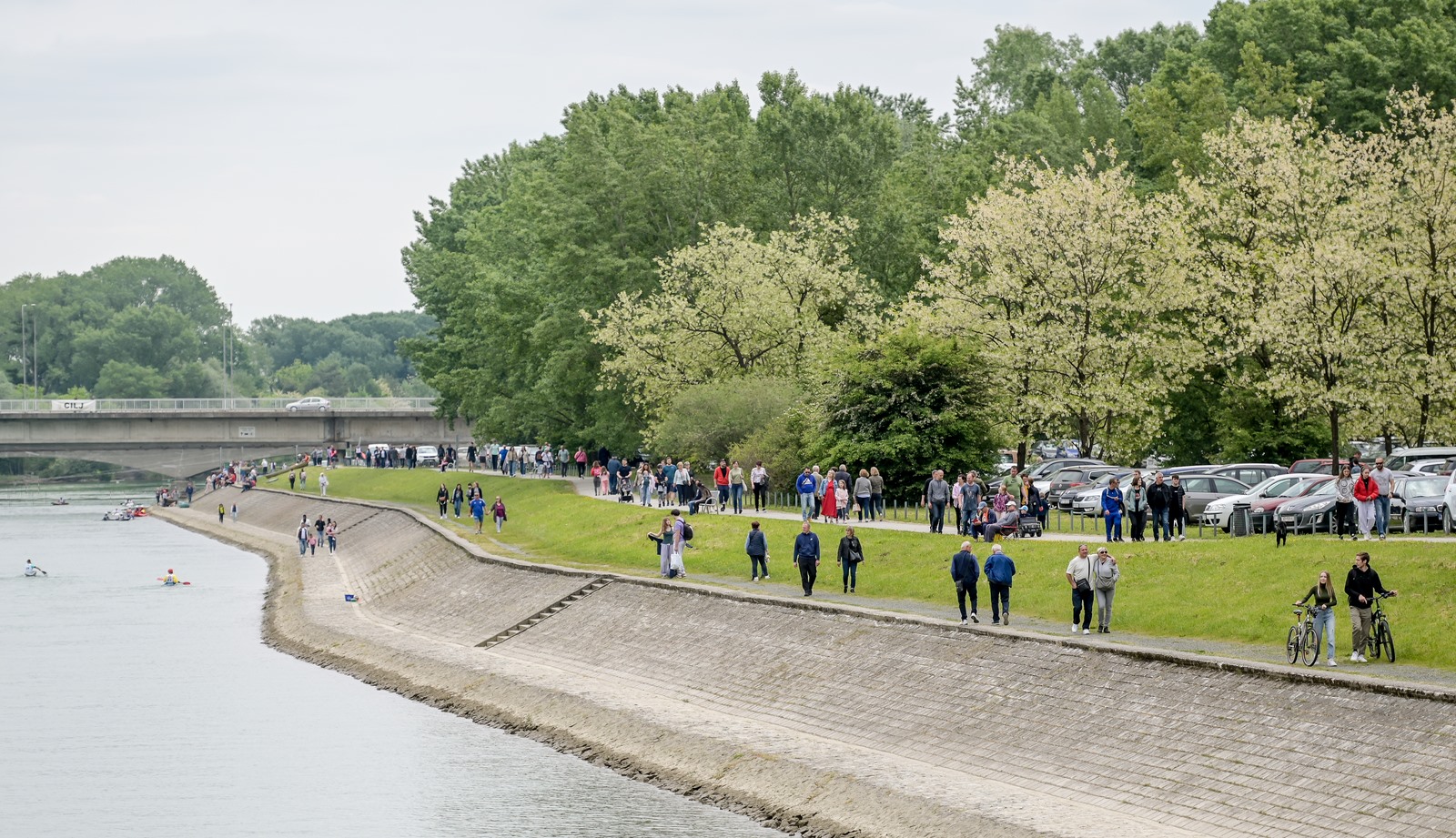 Građani iznijeli prijedloge za obnovu Dravske šume