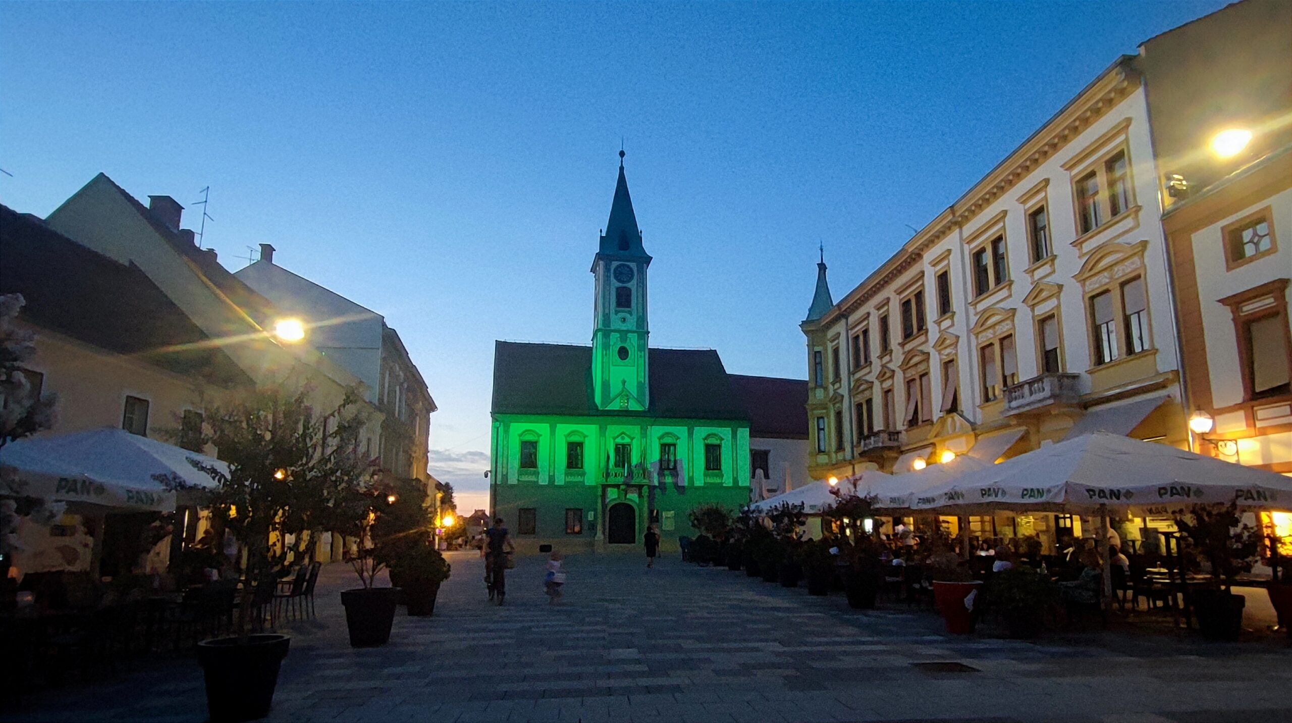 Gradska vijećnica u zelenom