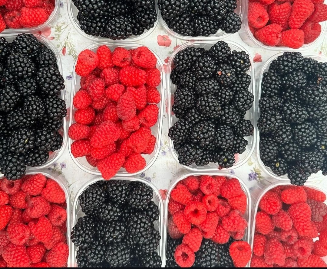 Ova vrsta bobičastog voća dokazano može smanjiti rizik od demencije