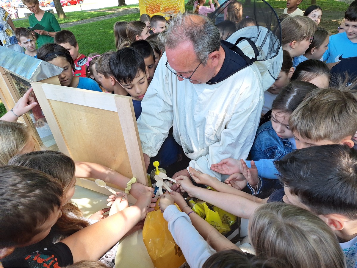 Obilježen Svjetski dan pčela: “Da nema pčela, ne bi bilo ni nas”