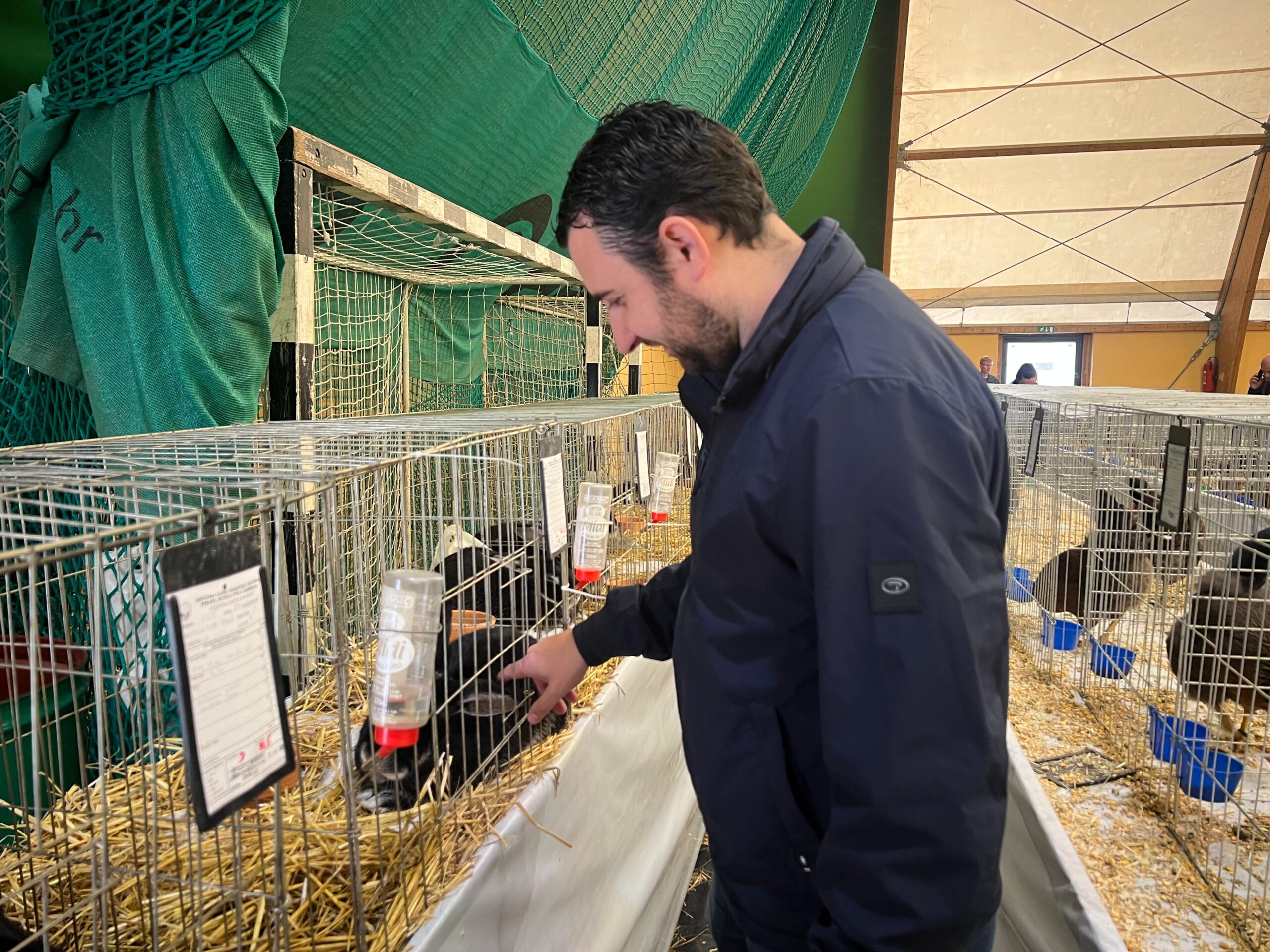 Međunarodna izložba malih životinja