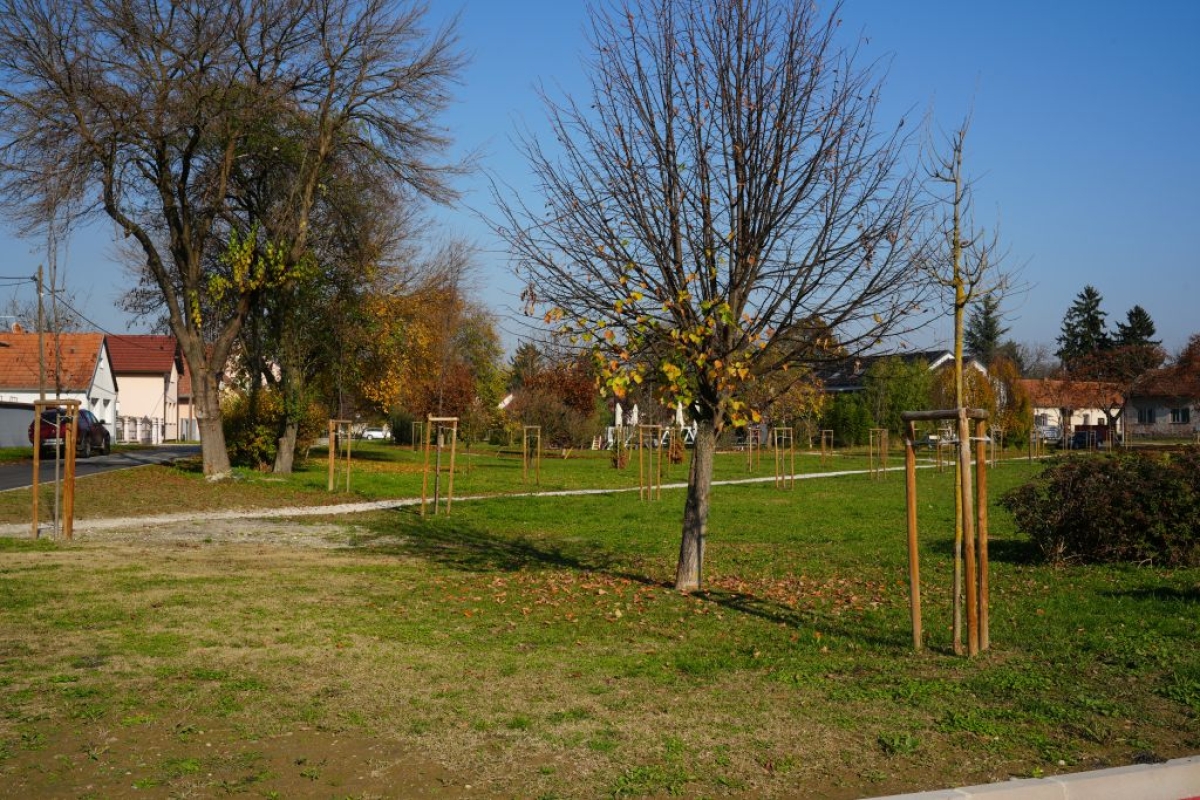 U Varaždinu posađena 162 nova stabla u listopadu