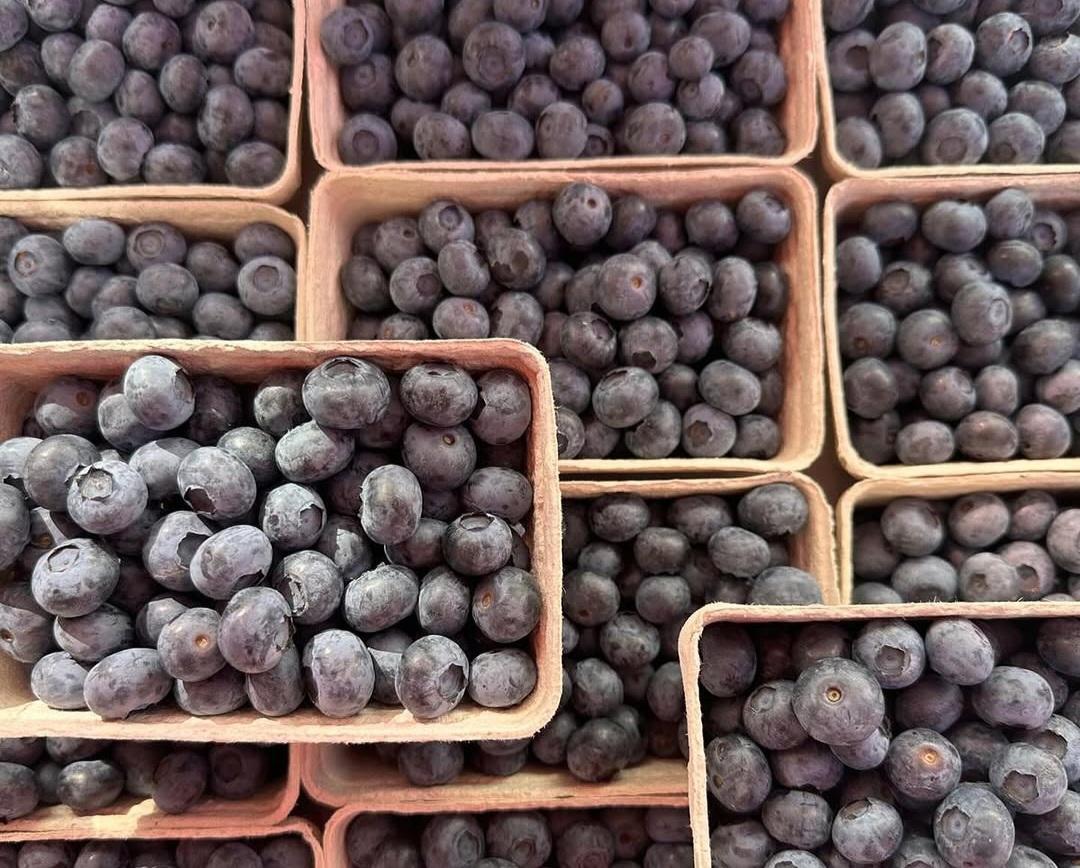 Znanstvenica otkriva kakvo bismo pakiranje borovnica trebali zaobilaziti