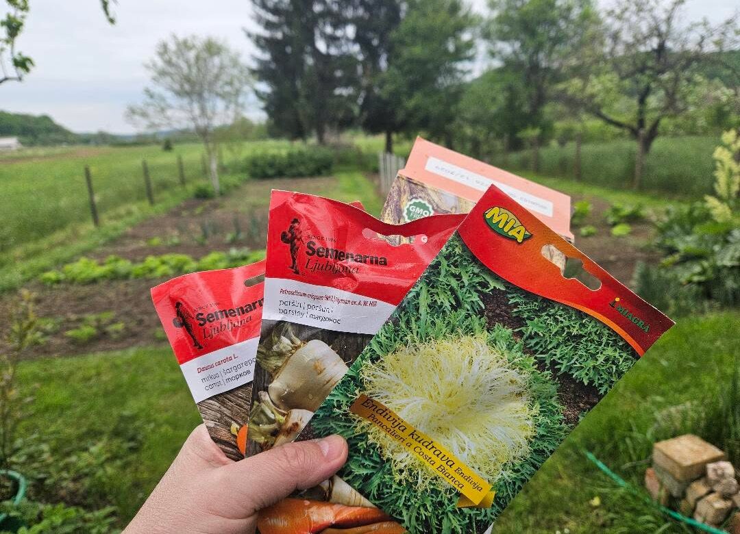 Nemojte kupovati ove klice jer mogu biti zaražene Escherichiom coli