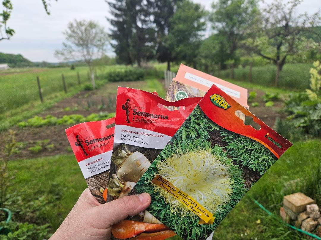 Nemojte kupovati ove klice jer mogu biti zaražene Escherichiom coli