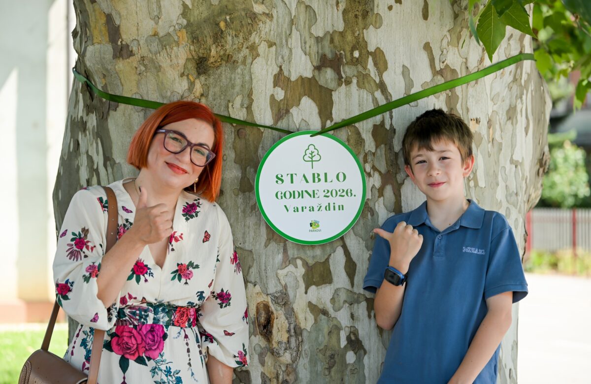 Javorolisna platana s križanja Zavojne i Trenkove ulice novo je Stablo godine grada Varaždina
