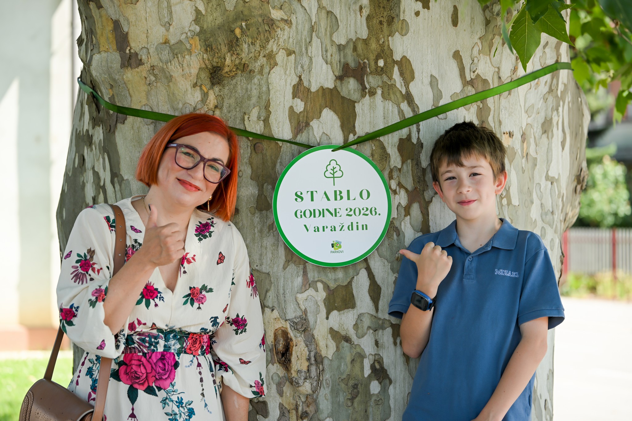 Javorolisna platana s križanja Zavojne i Trenkove ulice novo je Stablo godine grada Varaždina