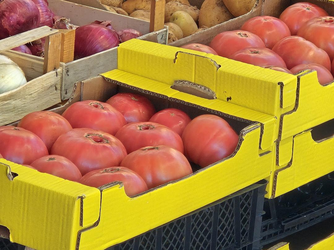 Cijena paradajza jako skočila. Na nekim tržnicama skuplji je od svinjetine i teletine!