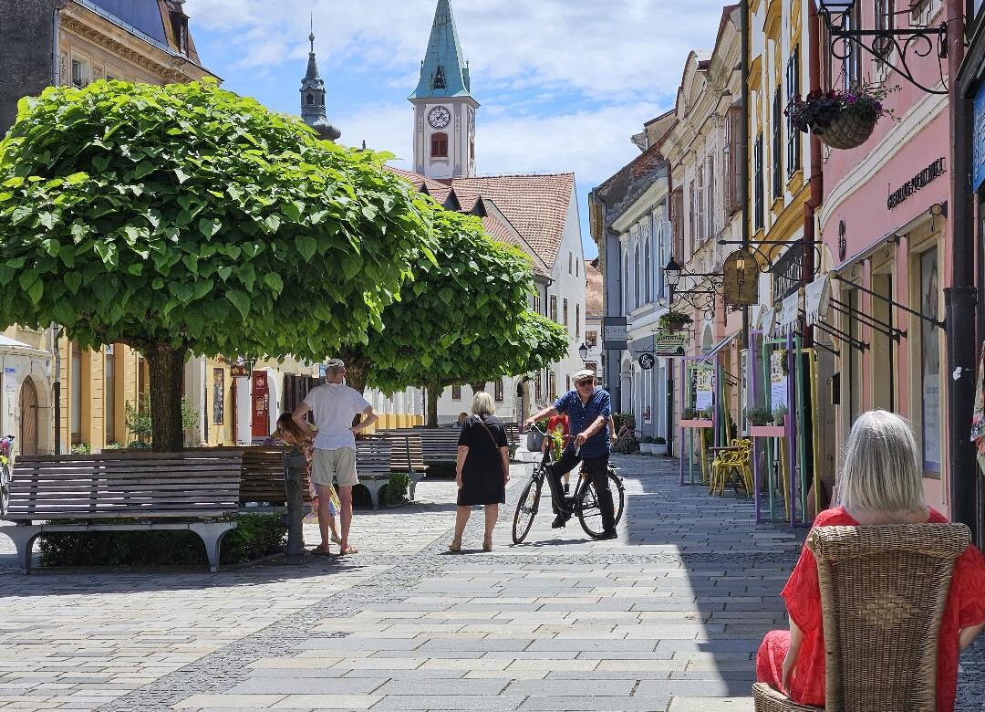 PARTICIPATIVNI PRORAČUN: Vaša ideja za sigurniji, ljepši i uređeniji Varaždin