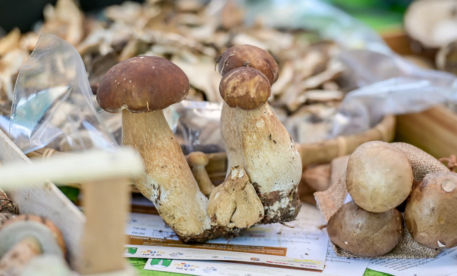 13. Dani vrganja i crnog tartufa u Paki