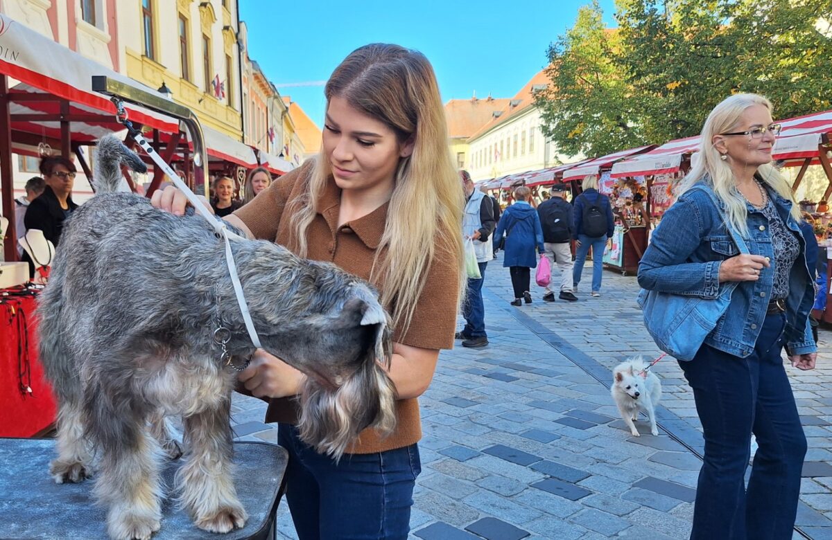 Obrtnički ulični sajam okupio 30-ak obrtnika i mnoštvo posjetitelja
