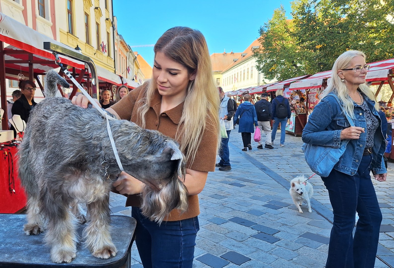 Obrtnički ulični sajam okupio 30-ak obrtnika i mnoštvo posjetitelja