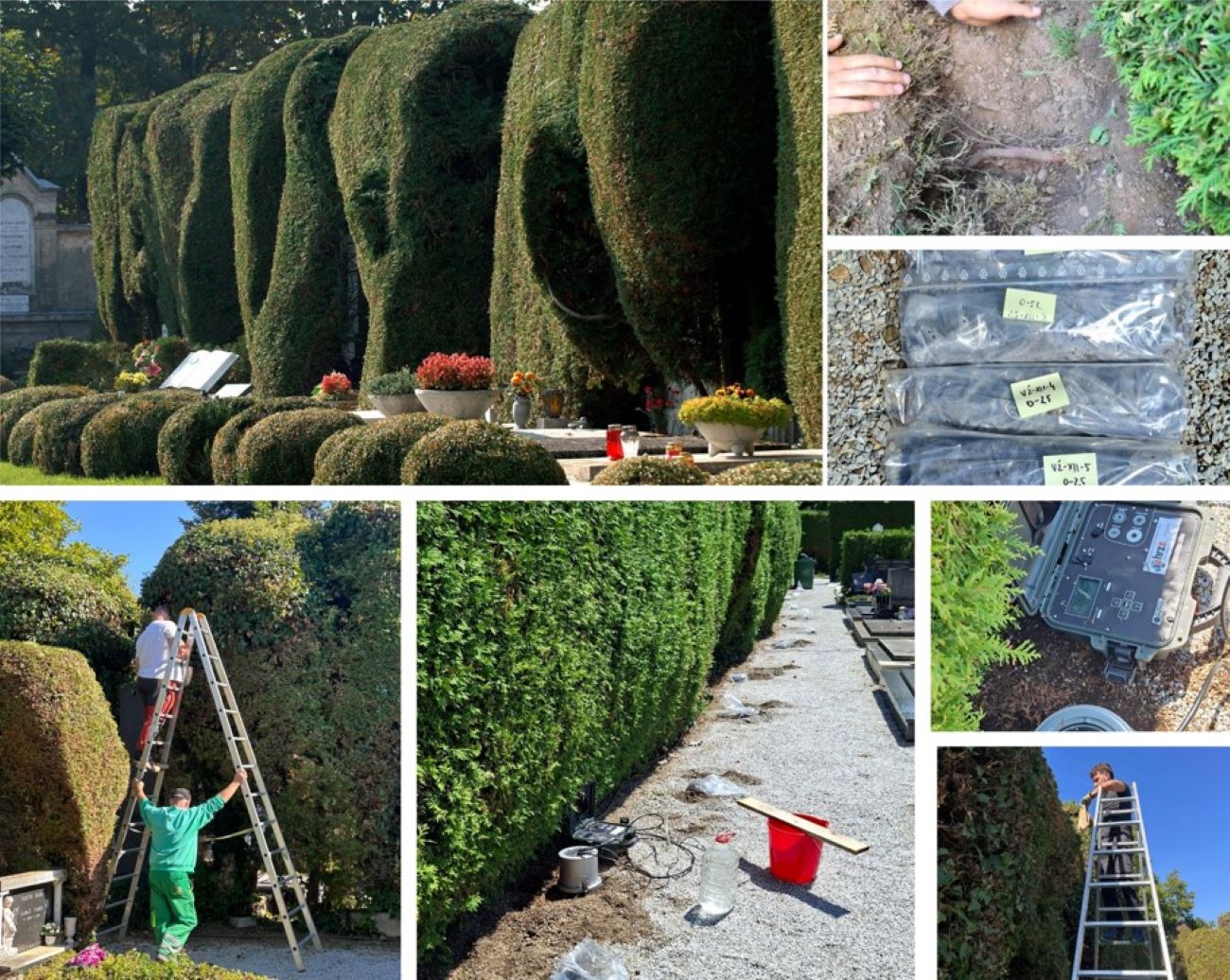 Parkovi kroz projekt UrbanGreenLeap istražuju kako očuvati zelenilo u uvjetima klimatskih promjena