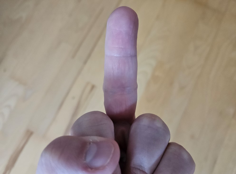 Srednji prst kameri i policiji košta ga dvije plaće!